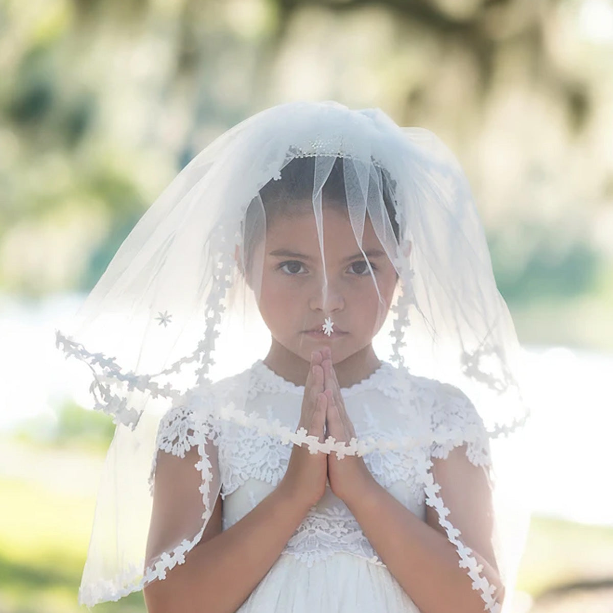 THE LASRISA VEIL