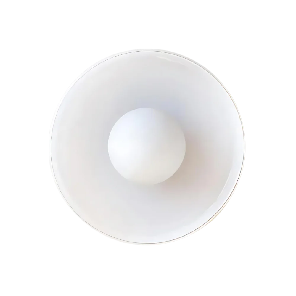 Glass Disc Ceiling and Wall Light with Central Globe