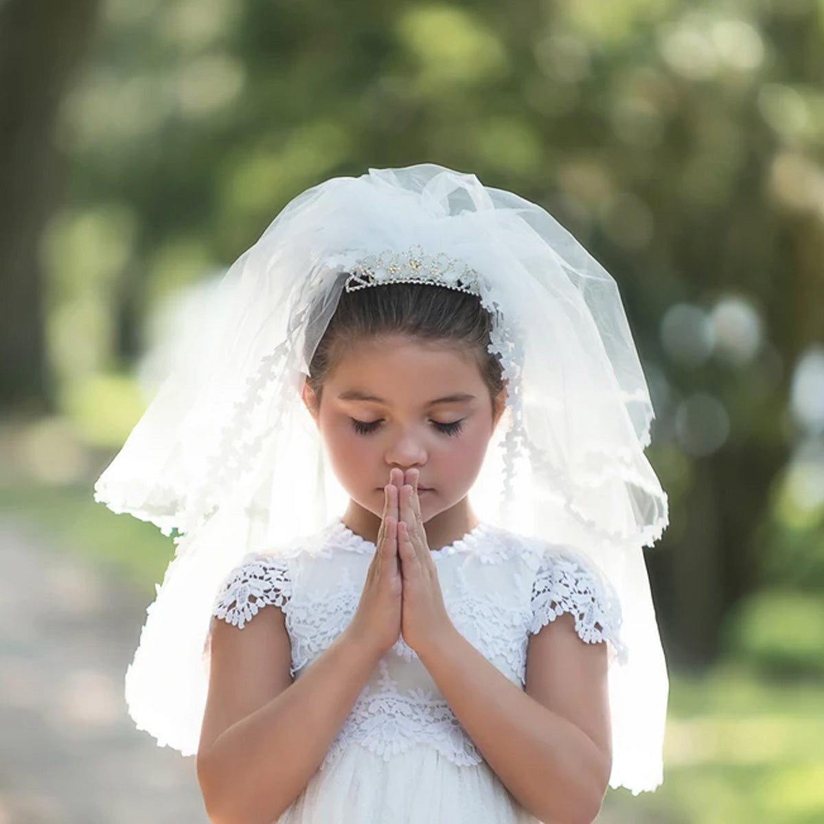 THE LASRISA VEIL